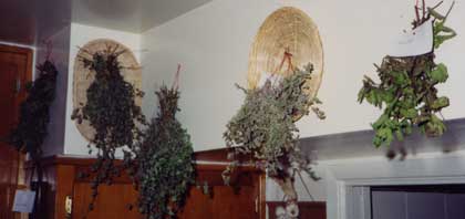 Hanging Herbs