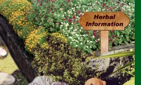 Herbal Information